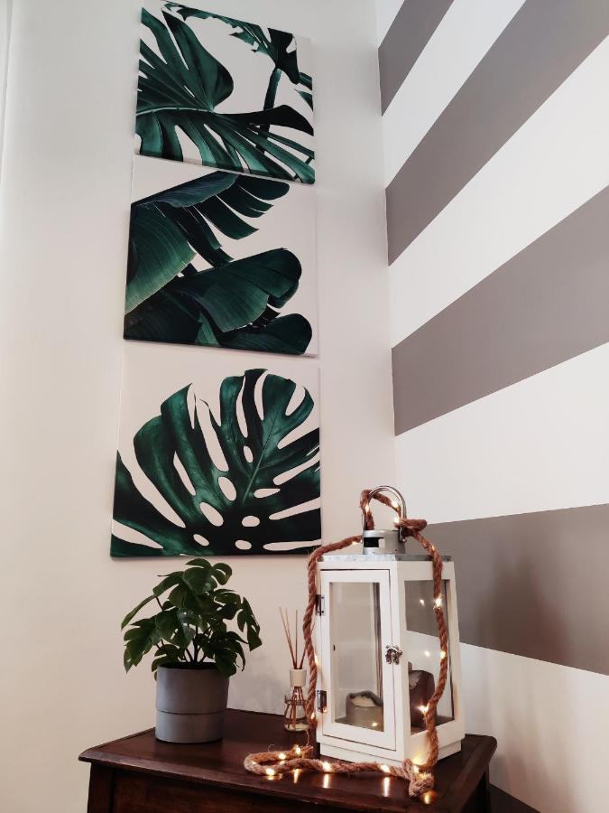 Modern Flat With Panoramic Terrace In Zuccarello 아파트 외부 사진